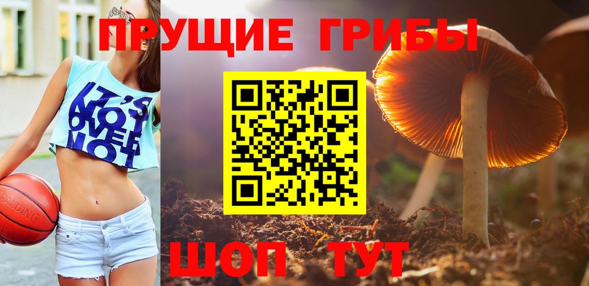Галлюциногенные грибы GOLDEN TEACHER Старая Купавна
