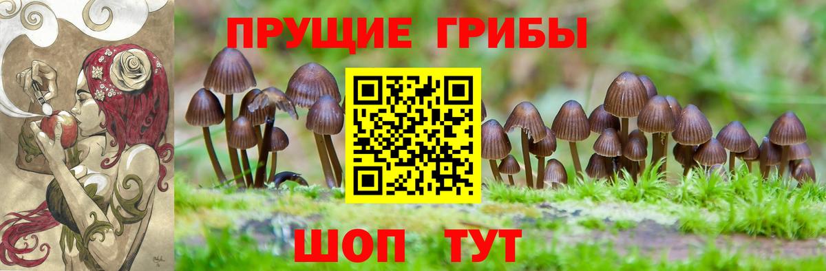 Старая Купавна  Галлюциногенные грибы Magic Shrooms  Галлюциногенные грибы Cubensis  Вход с VPN 