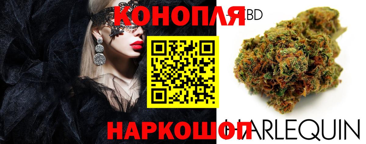Каннабис гибрид  Бошки марихуана планчик  Вход с VPN  Бошки Шишки сатива  Старая Купавна  Конопля сатива 